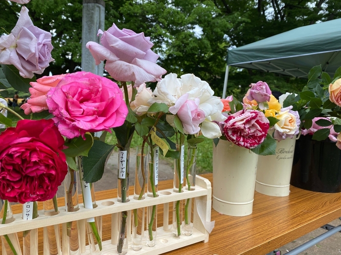 香るバラ展(過去開催時の様子)