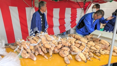 skGaVGE9rxyT674b4Abe.jpg?w=940&h=940