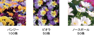 贈呈苗一覧（画像はイメージです。）