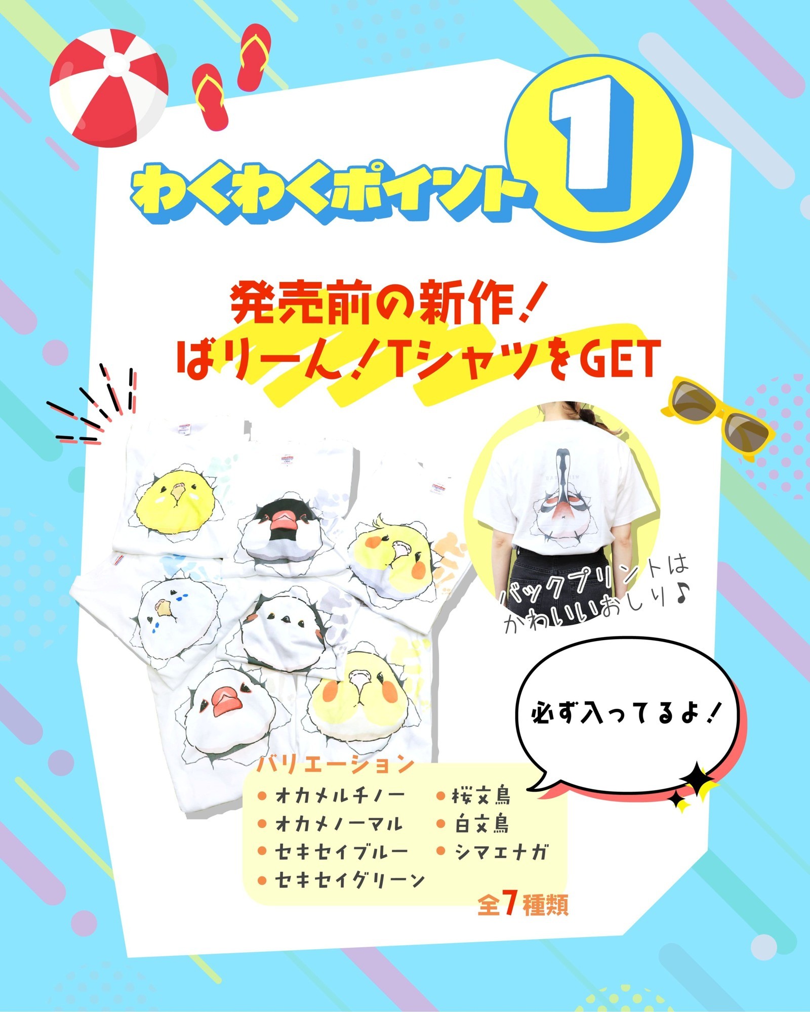 数量限定】「わくわく！夏のことり福袋2026」販売のお知らせ | 株式