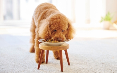 smwMpEc5RD5i2dPIQ8Tn.jpg?w=940&h=940