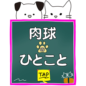 smzLOUBiKxrx4aTp33uq.png?w=940&h=940