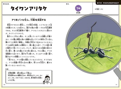 アリをゾンビ化し、行動を支配する「タイワンアリタケ」（「第1章：キミのからだはボクのもの！？ ちょっとお邪魔します。」より）