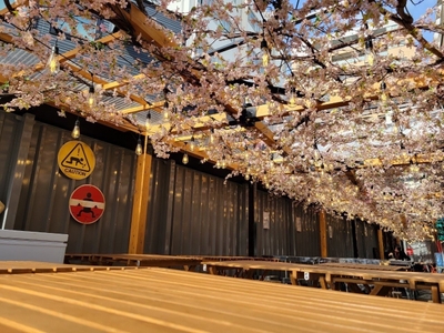 sok303fRo172GjvmJh8A.jpg?w=940&h=940