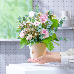 sosdiky42emN13Qjs6Oq.png?w=940&h=940