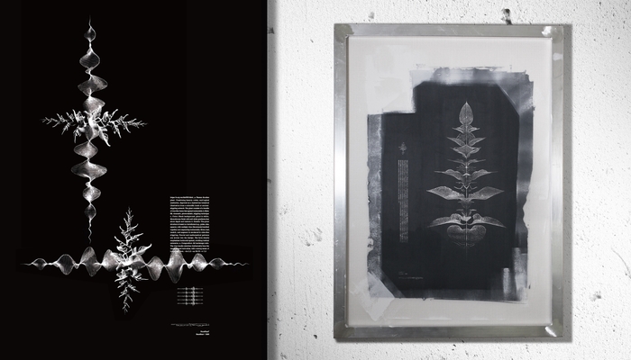 PromPlant(R) - HeatBeat シリーズ(新作)