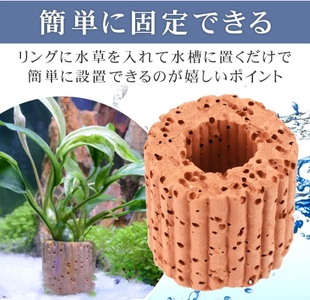 spfzkra8IUuiZI2IVAI9.jpg?w=940&h=940