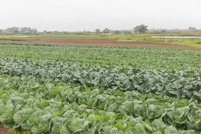 srhrCLzWRBr9vW3Gc7T3.jpg?w=940&h=940