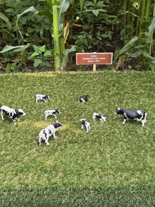 ss7az5LZ9GREdcCjvvpq.jpg?w=940&h=940