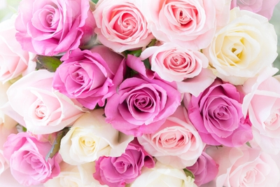 stUvmyY1me9ov04LocXy.jpg?w=940&h=940