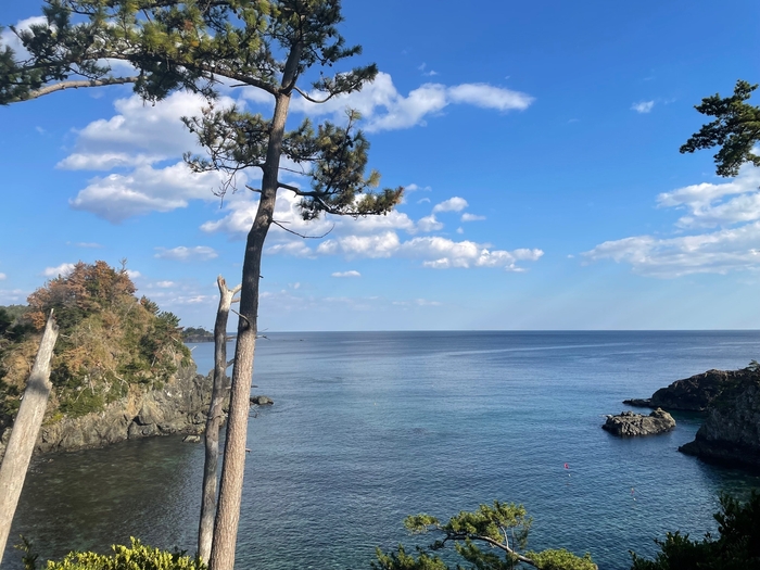 トレッキングコースからの風景