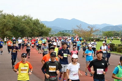 suUnDFri3QvbQjiqUP3X.jpg?w=940&h=940