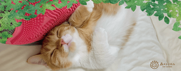 〜森のトンネル「猫舌とろん2wayグローブ」2月10日(金)発売 〜