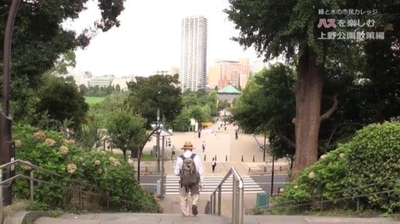 svq4fOsEYeQ1woBEfj6z.jpg?w=940&h=940