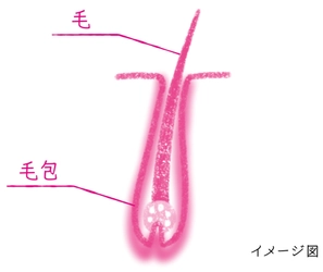 【「抜け毛」の検索数が急上昇する秋到来】 髪の長さによって抜け毛の見え方はこんなに違う！