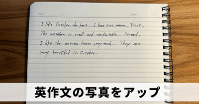 sxE6eJ45Ft4rpLnLoS3d.png?w=940&h=940