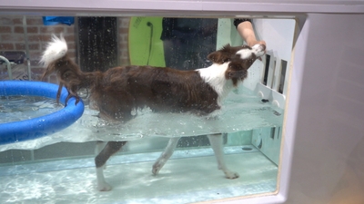 sxtLC3lSzhCsGaoxuviz.jpg?w=940&h=940