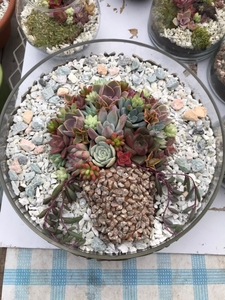 syTHpYbDy90crInfP7cx.jpg?w=940&h=940