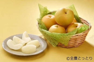 szWUPdRiSrAEsquXsawK.jpg?w=940&h=940