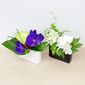 t0eGTzQ1yTuRErel4Vkr.jpg?w=940&h=940