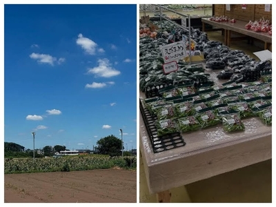 t1YkzdCsth7b9yl5Ij4P.jpg?w=940&h=940