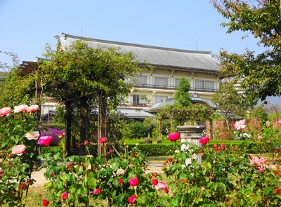 t1oYqOIKBcB8U2j1qlgt.JPG?w=940&h=940