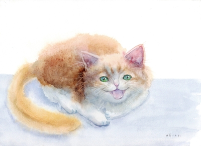 t1tdocLo1rzYcRlAbR7t.jpg?w=940&h=940