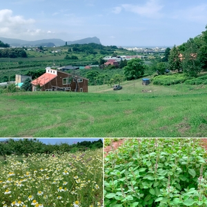 t1wTsCIi6TP2qP7KNiL9.jpg?w=940&h=940