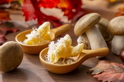 t2H5Bytm7Yu9y2G8kFFY.jpg?w=940&h=940