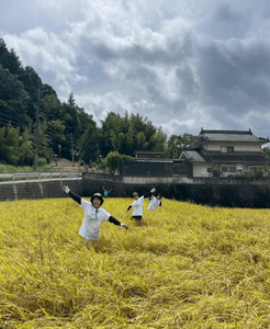 t2fOeMvBLxddynA0indG.png?w=940&h=940