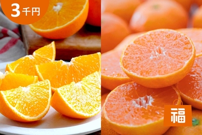 t3PkDEn6DQuxzUGtTGwm.jpg?w=940&h=940