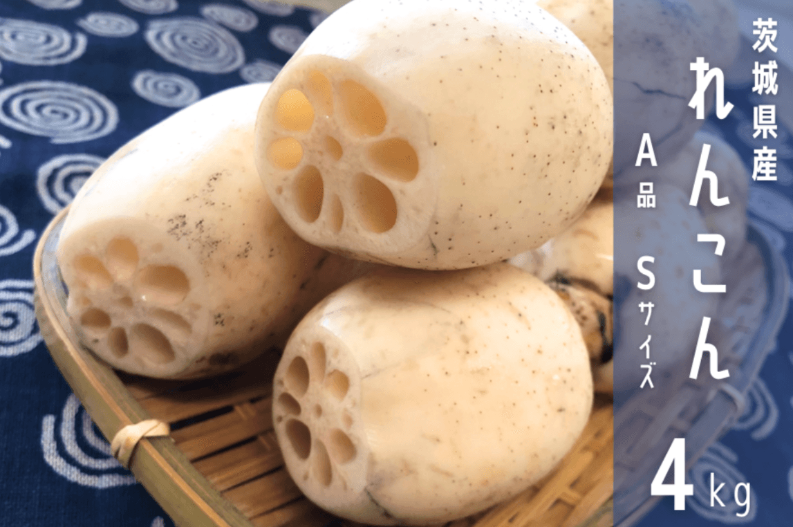 生産量日本一!シャキシャキ食感が魅力の茨城県産「れんこん」を「JAタウン」で販売中 ~人気の小さめサイズの商品も登場~