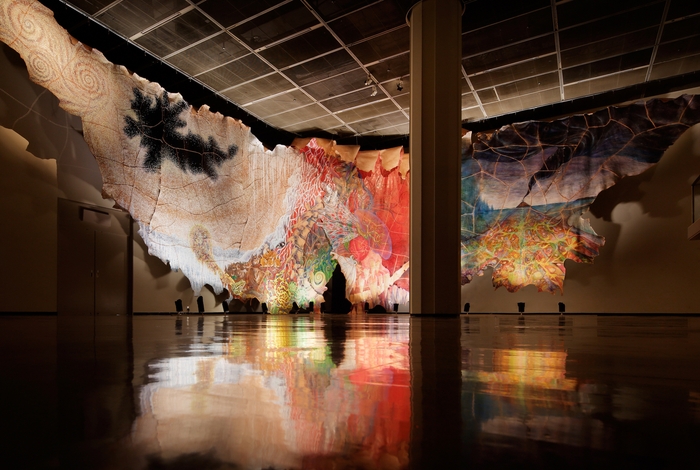 鴻池朋子:皮緞帳 『根源的暴力』展示風景2015