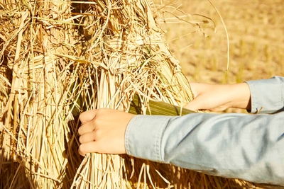 t59scHbI9WgGT0qFmLms.jpg?w=940&h=940