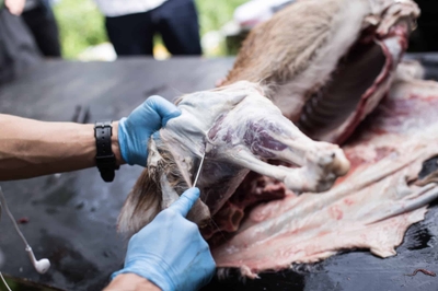 t5cSB0mWU3g6zsqnDnj6.jpg?w=940&h=940