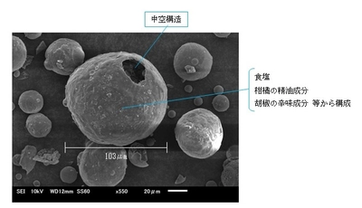 減塩してもおいしさはそのまま『塩味増強素材』発売　 独自技術で食品の風味を損なわない減塩素材を開発