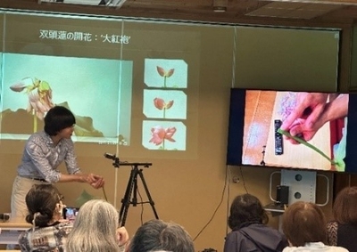 昨年の早朝観蓮会の様子