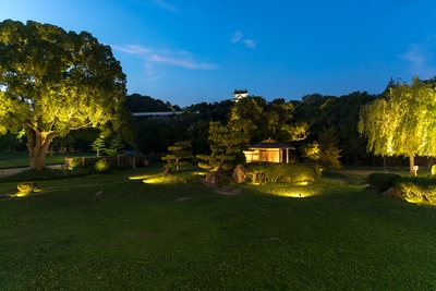 t8L0oooYS4NSIq3BBe0H.jpg?w=940&h=940