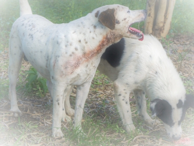 t9EsYc9vI0yzrRXrnuiG.jpeg?w=940&h=940