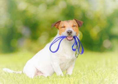 t9NOFfrbCpjhpElVxrfe.jpeg?w=940&h=940