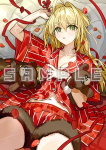 アニメイト(セイバー)