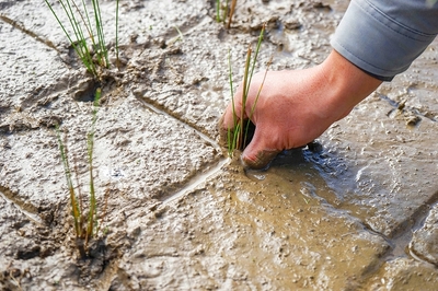 tA8PUdfUeFu767zt2N0z.jpg?w=940&h=940