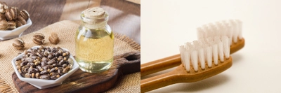 世界初！環境にも人にも優しい 植物由来100％の毛材(ヒマシ製ナイロン毛)を 使用した歯ブラシが2020年秋より導入開始