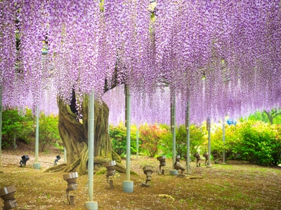 tBjBWBMauagHaNXXoBFh.jpeg?w=940&h=940