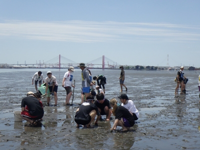 tC9D1IFRD5jFQ3PJKAKu.jpg?w=940&h=940