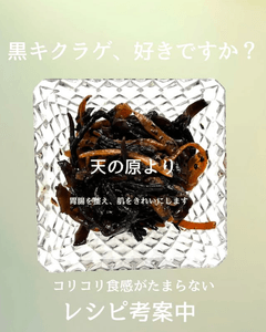 tCzXhcP1klbadzJJ1BmE.png?w=940&h=940