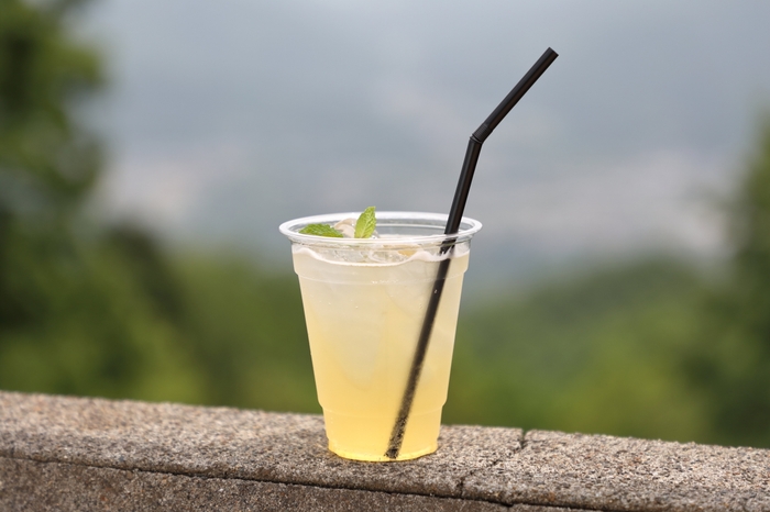 ホドエード　イメージ