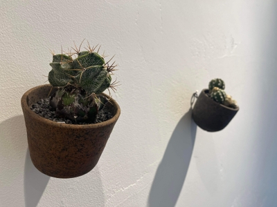 tDAssccsQRMJl9yEVn8f.jpg?w=940&h=940