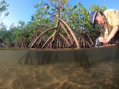 tDhbluP3L6by5Y7yft9Q.jpg?w=940&h=940