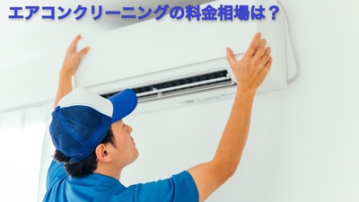 tEnv8Zpg9VTZs8zG7yTd.jpg?w=940&h=940